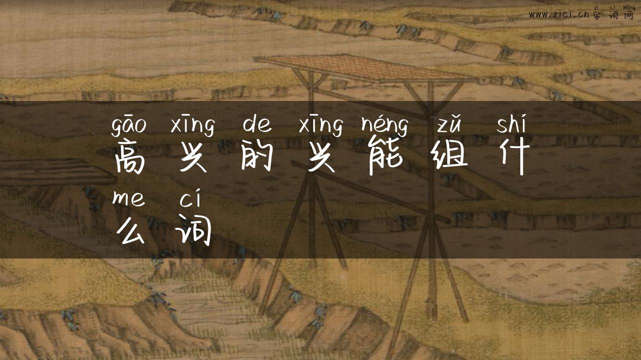 高兴的兴能组什么词