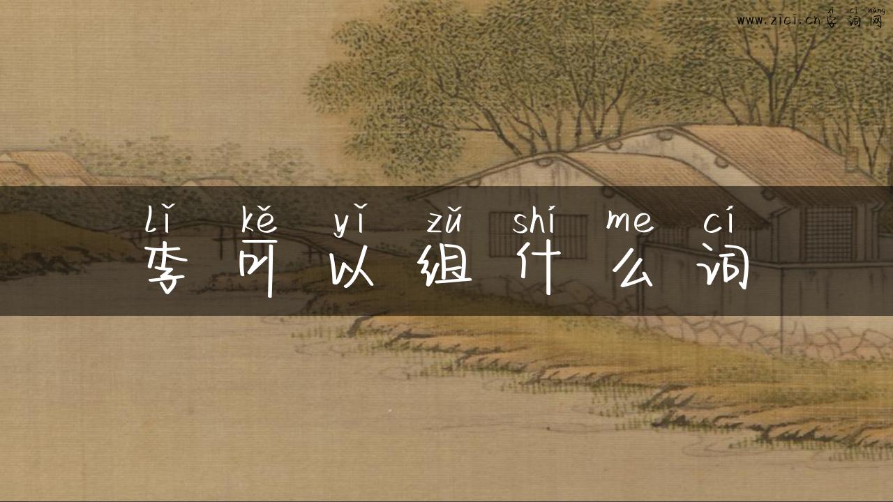 李可以组什么词