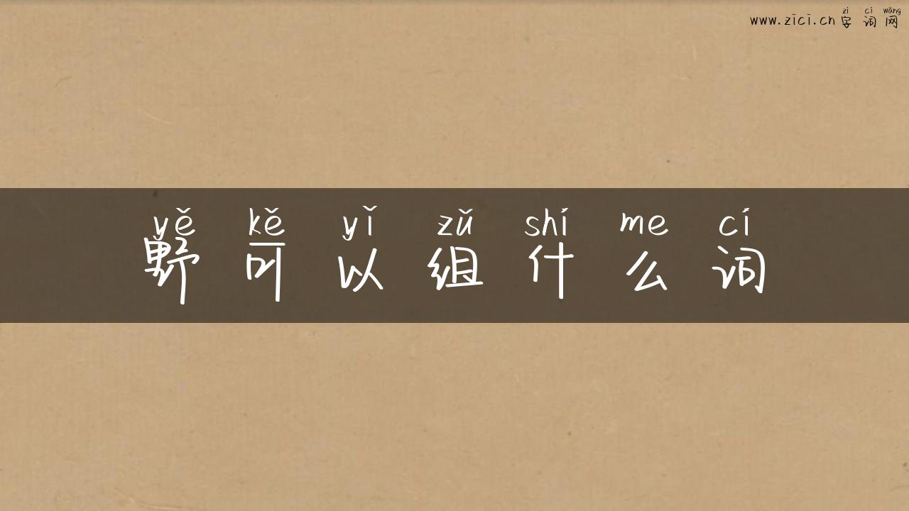 野可以组什么词