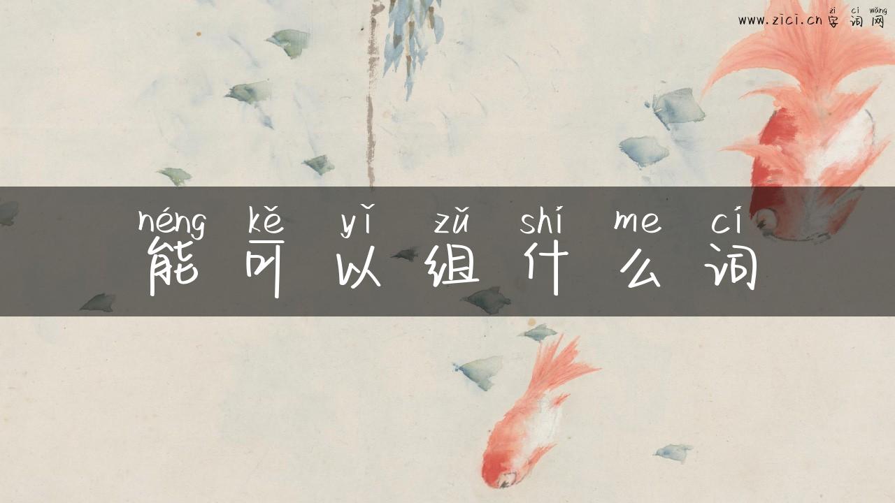 能可以组什么词