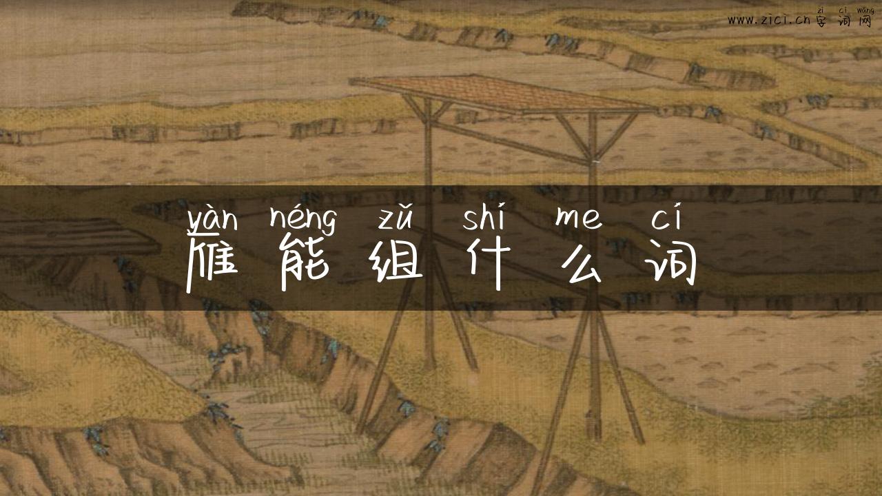 雁能组什么词
