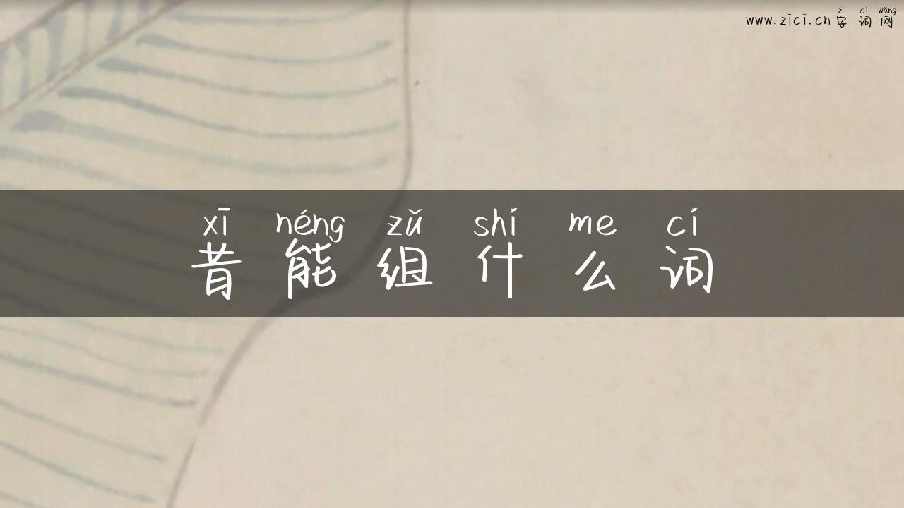 昔能组什么词