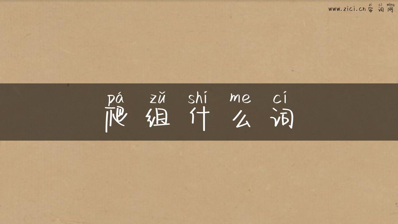 爬组什么词