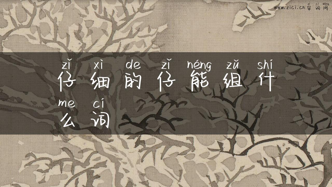 仔细的仔能组什么词