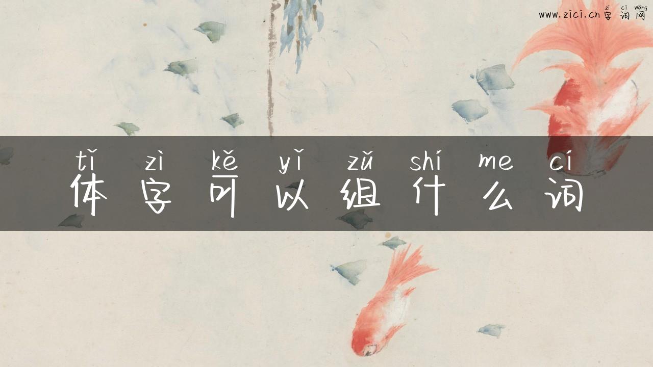 体字可以组什么词