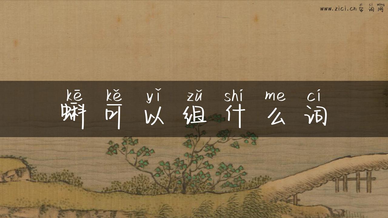蝌可以组什么词