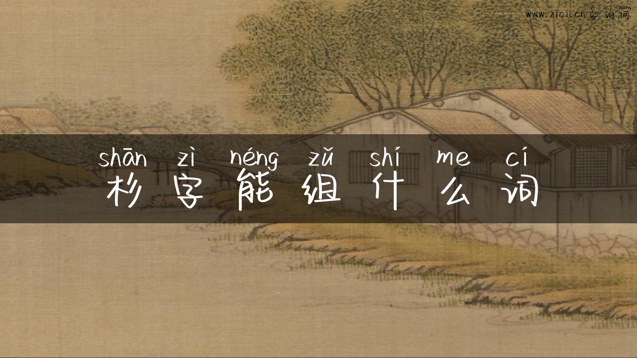 杉字能组什么词