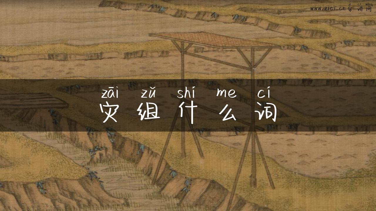 灾组什么词