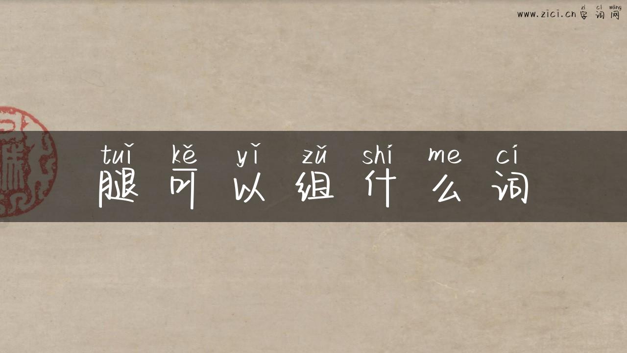 腿可以组什么词