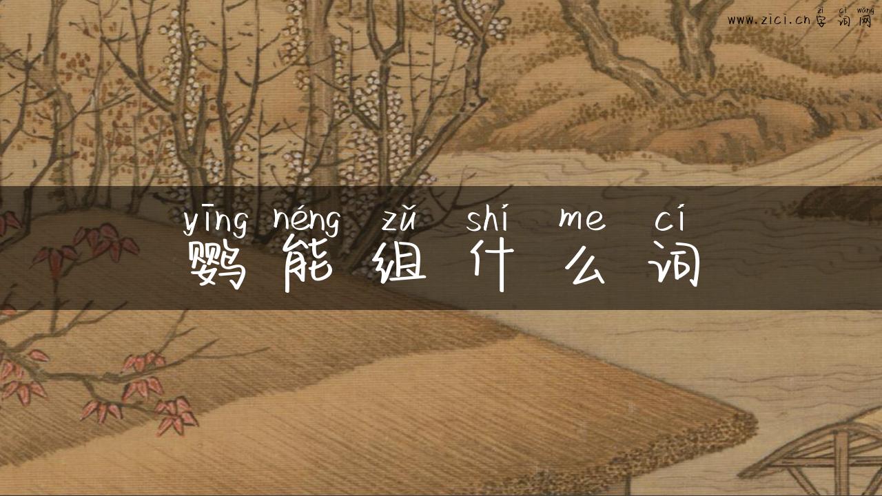 鹦能组什么词