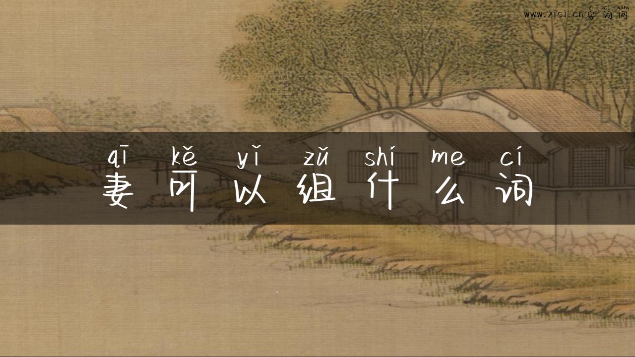妻可以组什么词