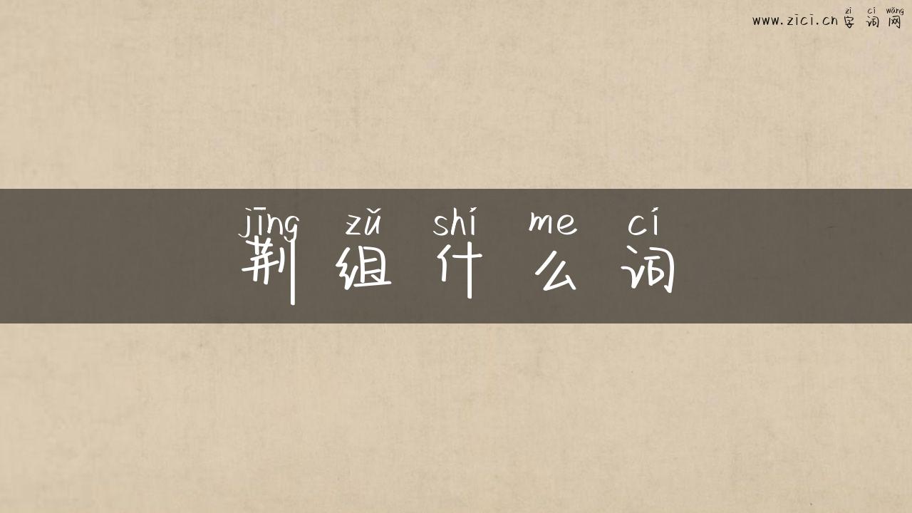 荆组什么词