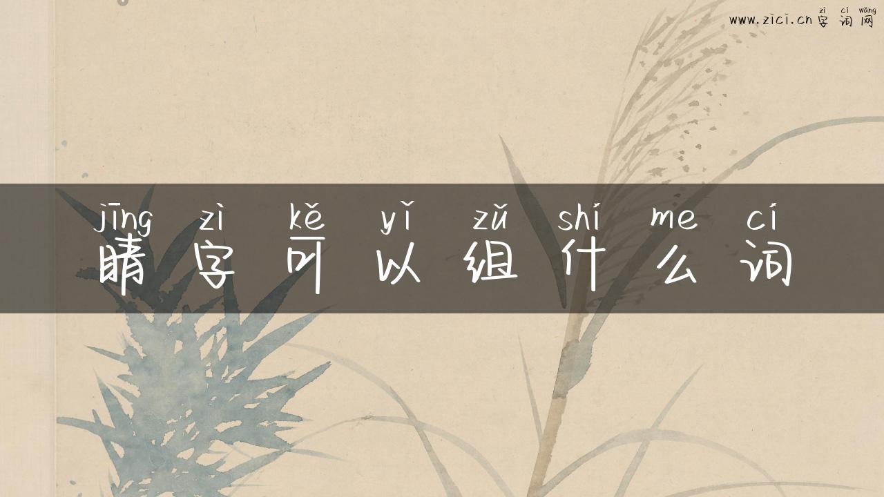 睛字可以组什么词