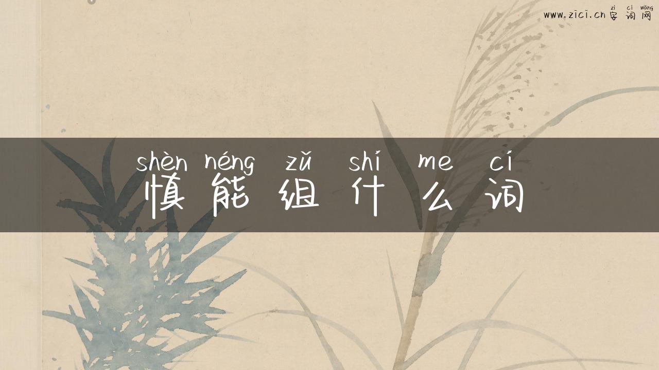 慎能组什么词