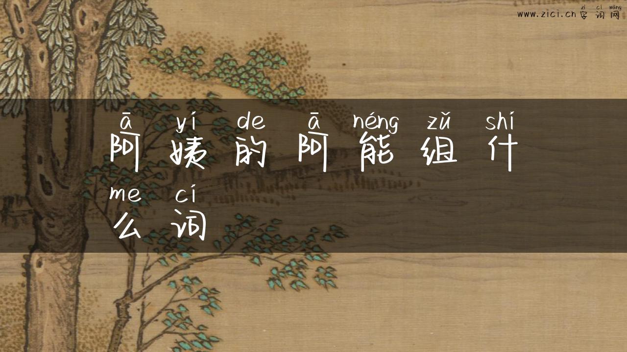 阿姨的阿能组什么词