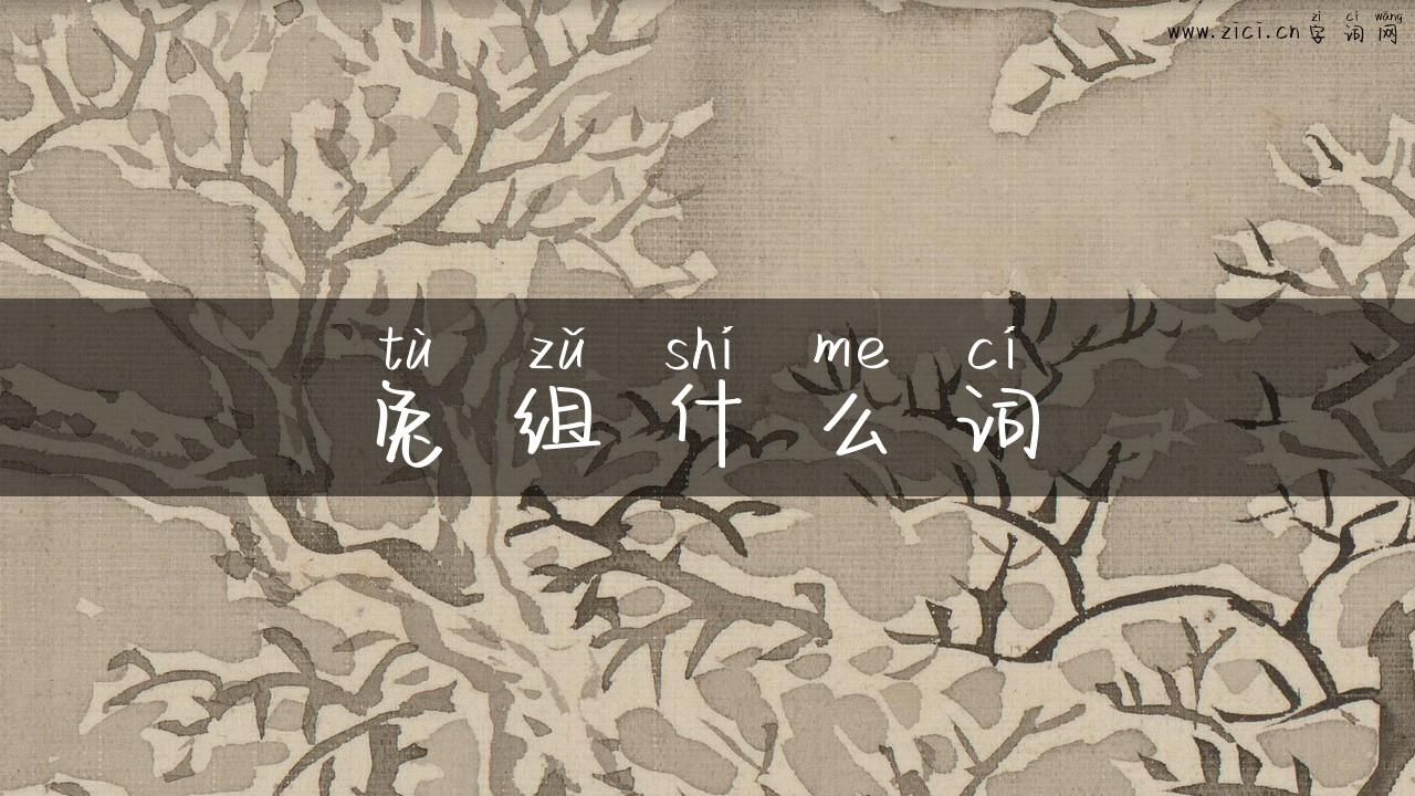 兔组什么词