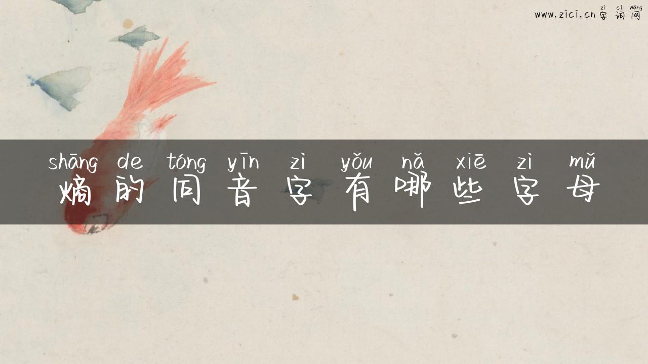 熵的同音字有哪些字母