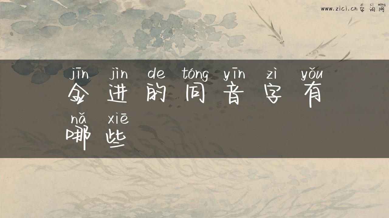 金进的同音字有哪些