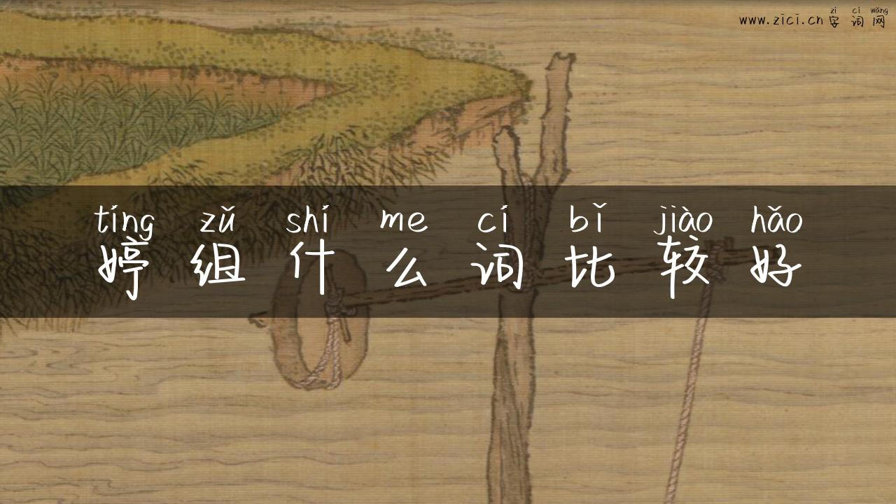 婷组什么词比较好
