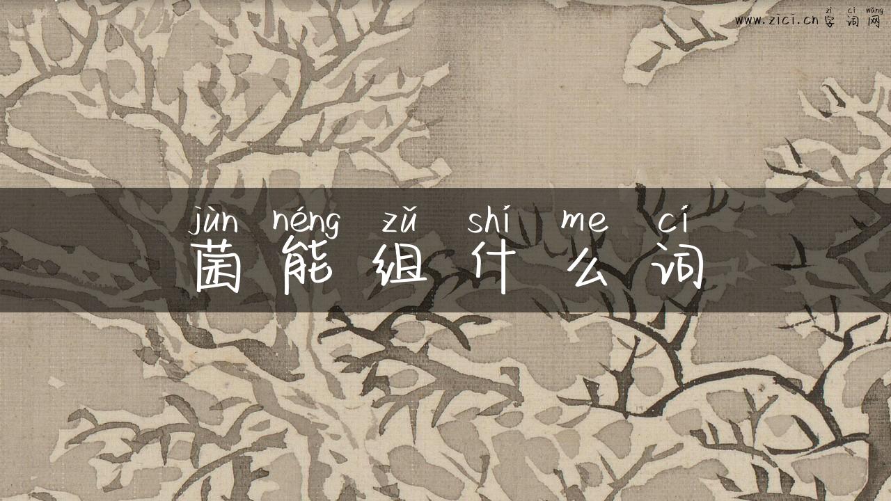 菌能组什么词