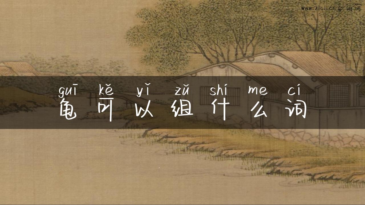 龟可以组什么词
