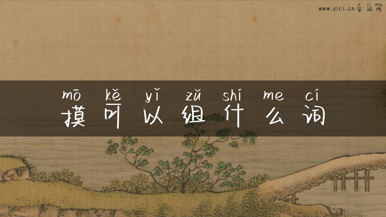 摸可以组什么词