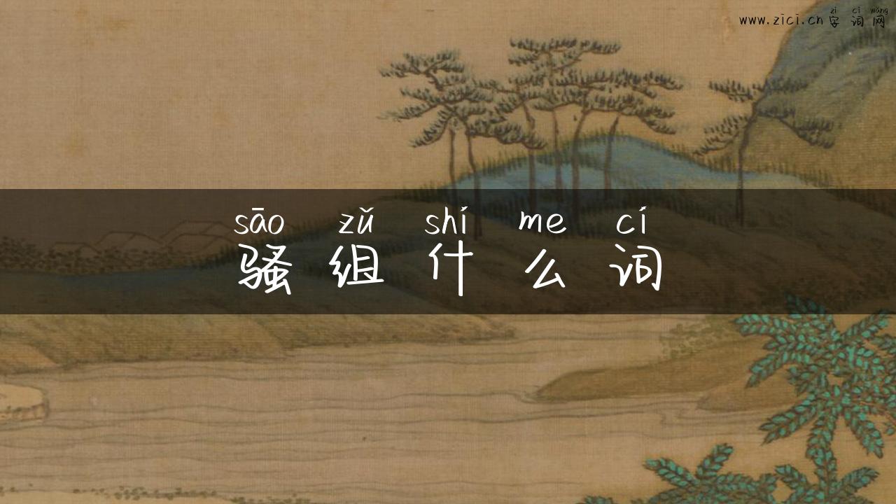 骚组什么词