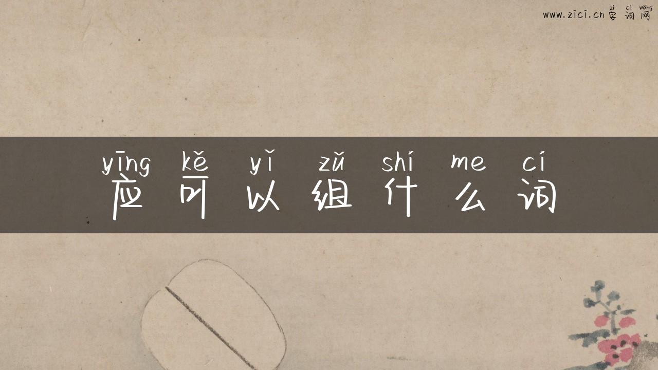 应可以组什么词