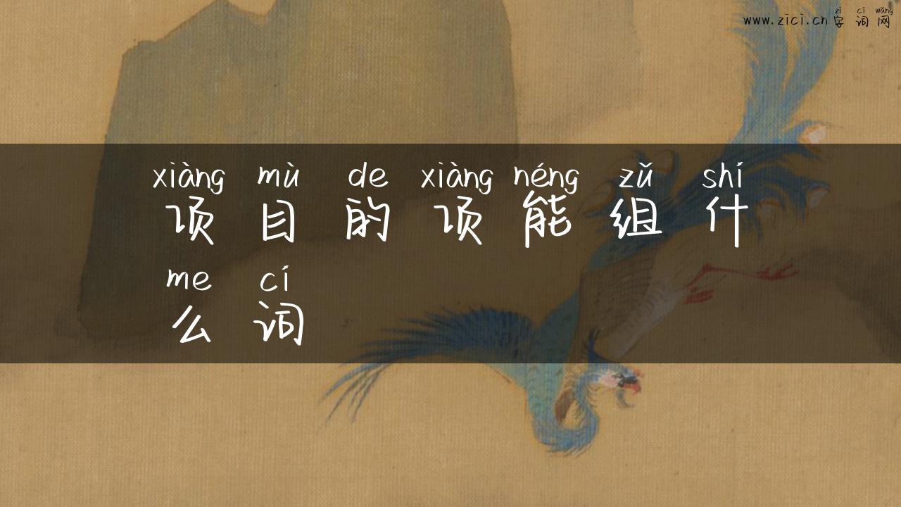 项目的项能组什么词