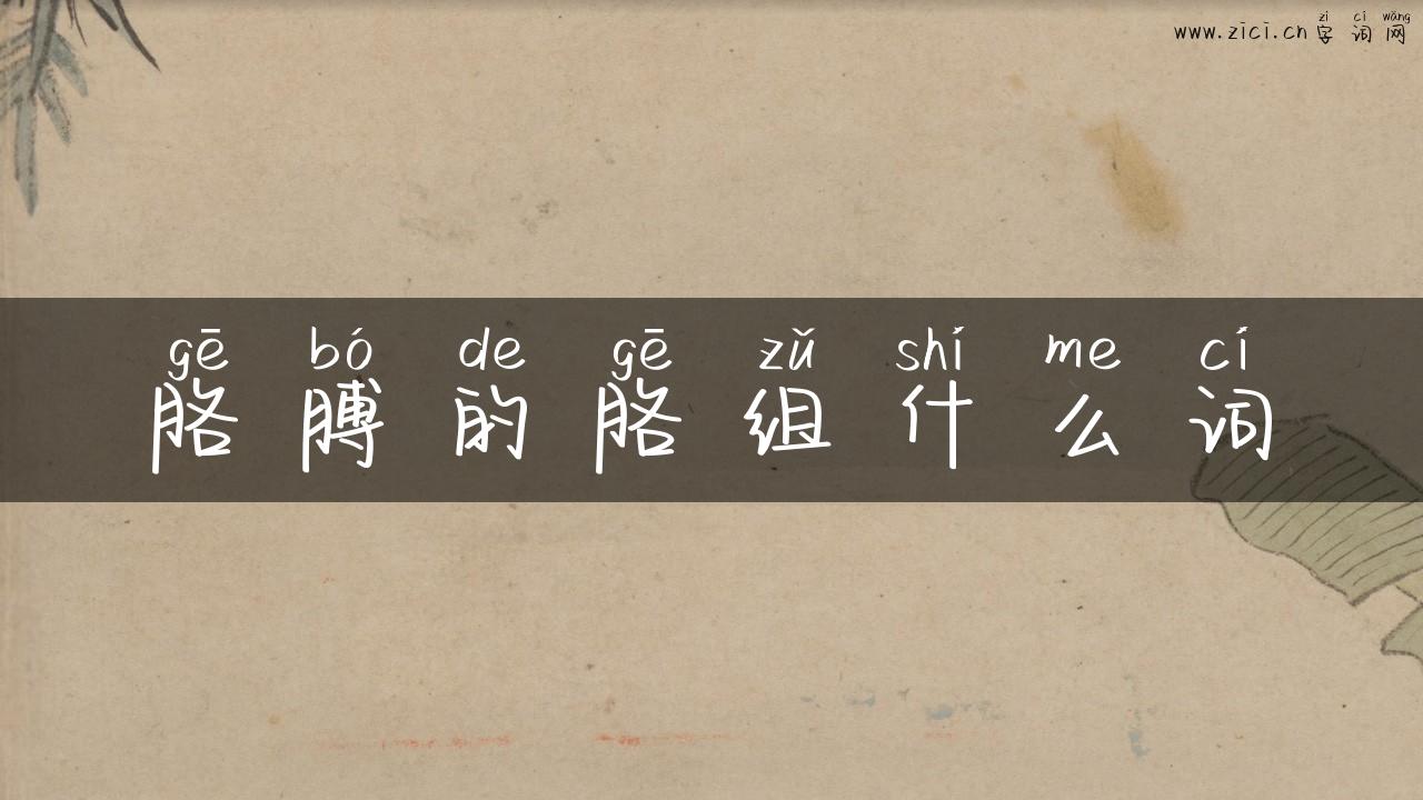 胳膊的胳组什么词