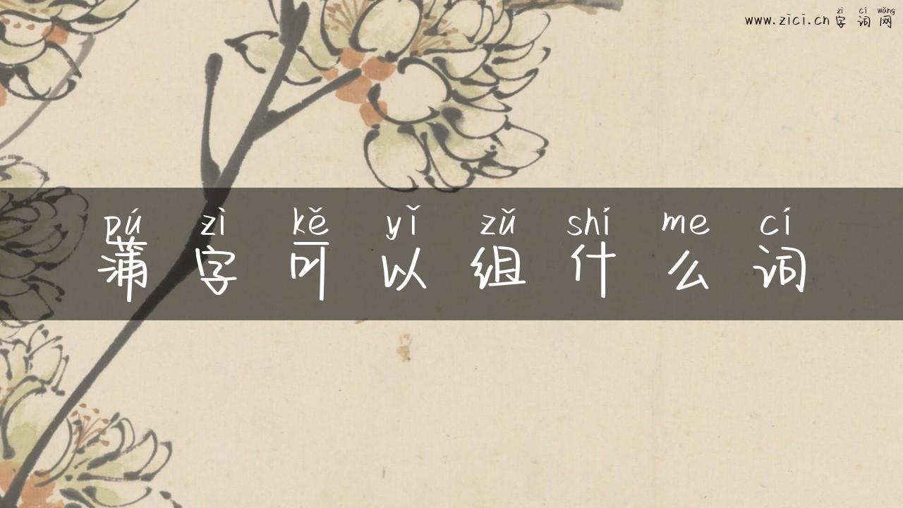 蒲字可以组什么词