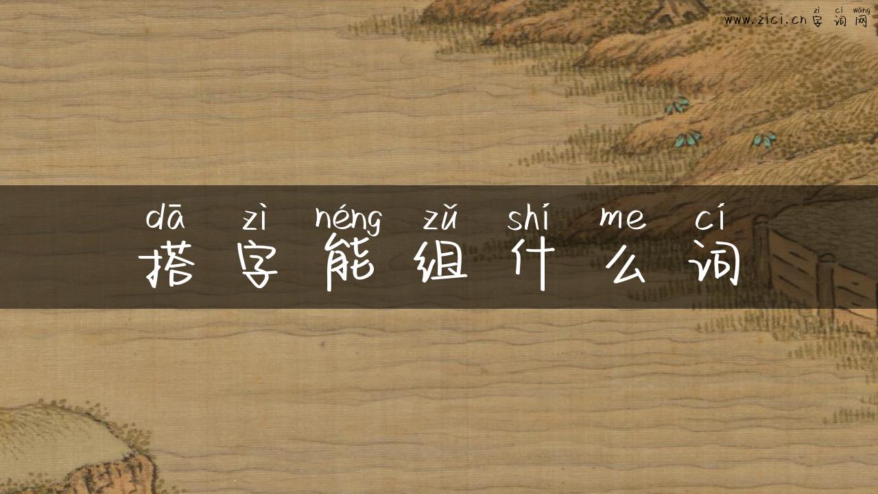 搭字能组什么词