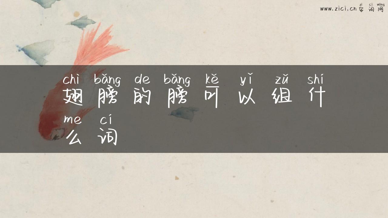 翅膀的膀可以组什么词