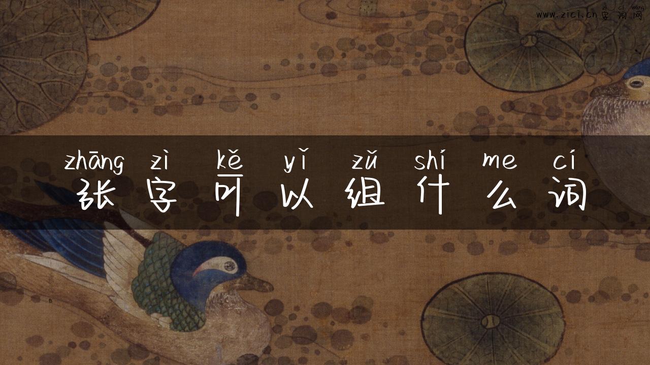 张字可以组什么词
