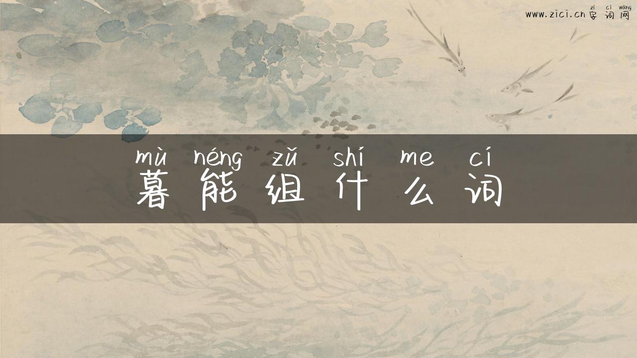 暮能组什么词