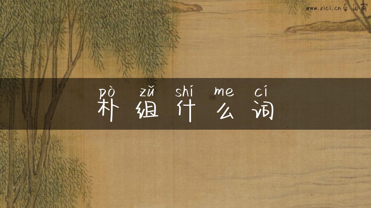 朴组什么词
