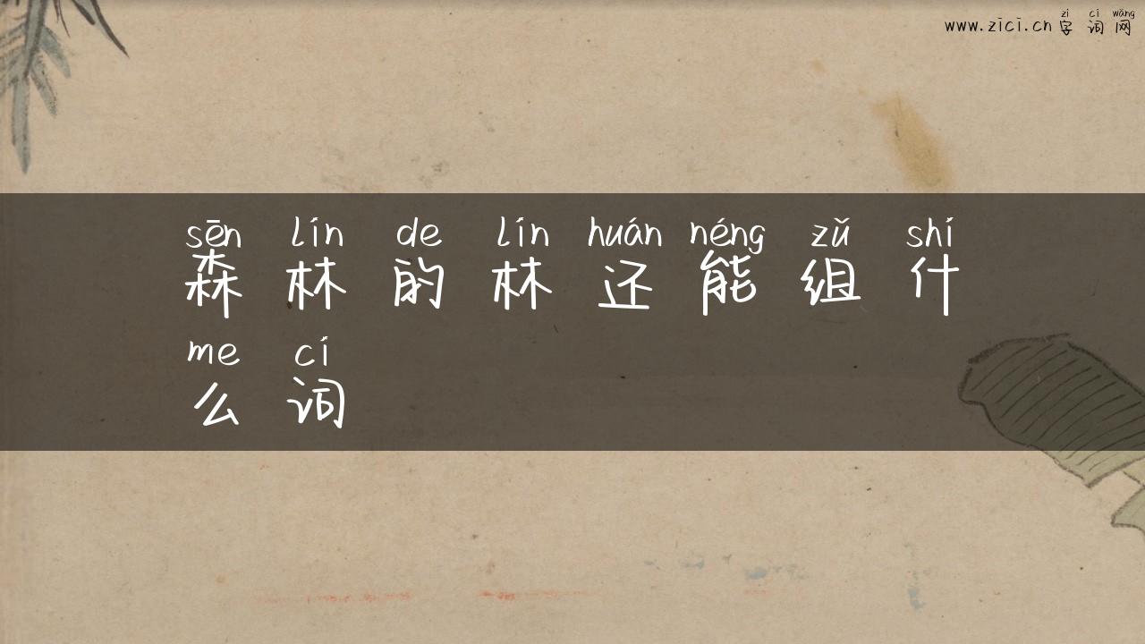 森林的林还能组什么词