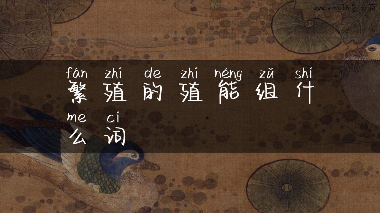繁殖的殖能组什么词