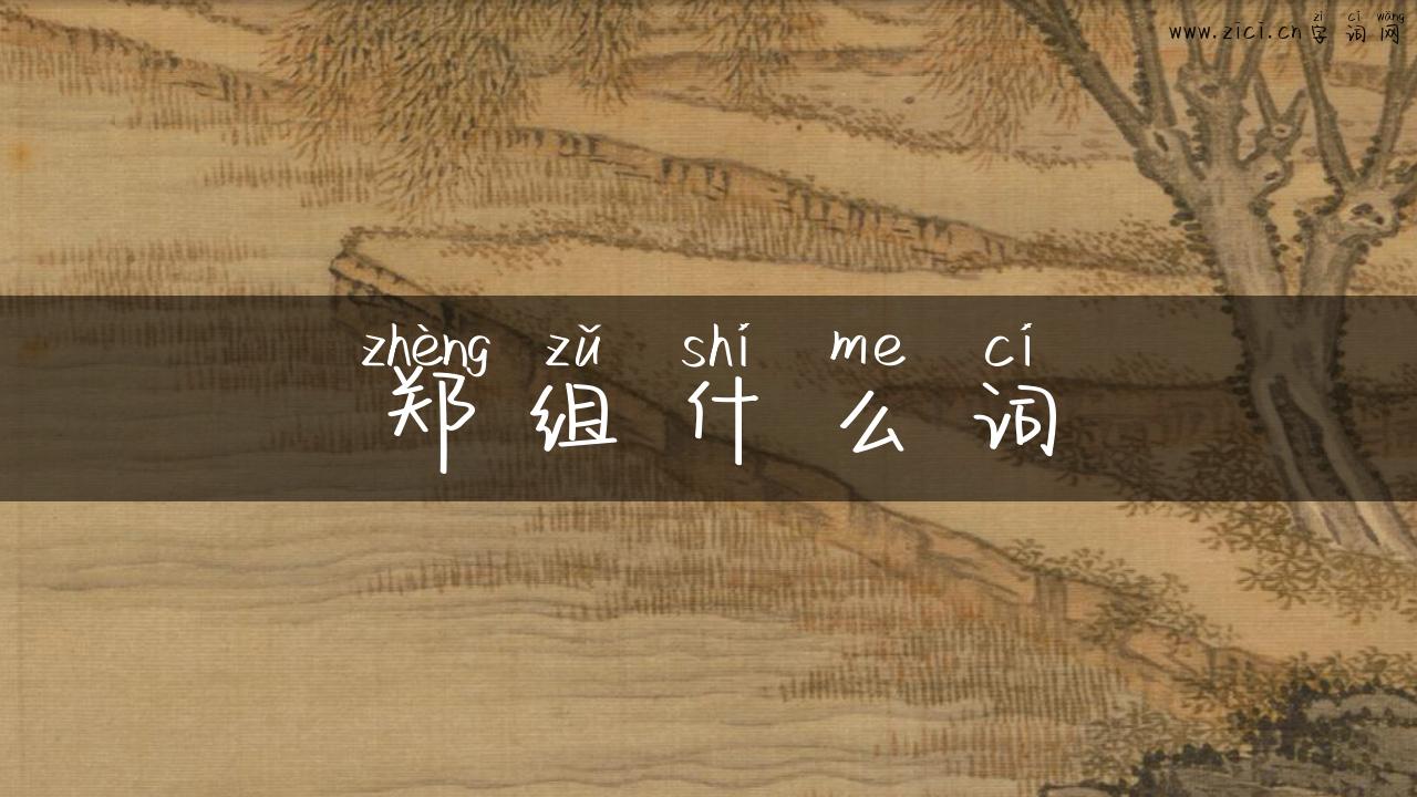 郑组什么词