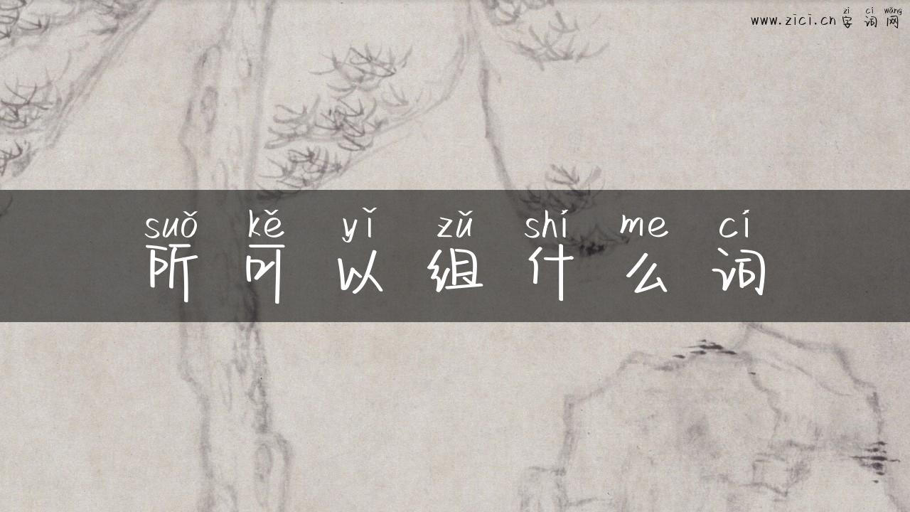 所可以组什么词