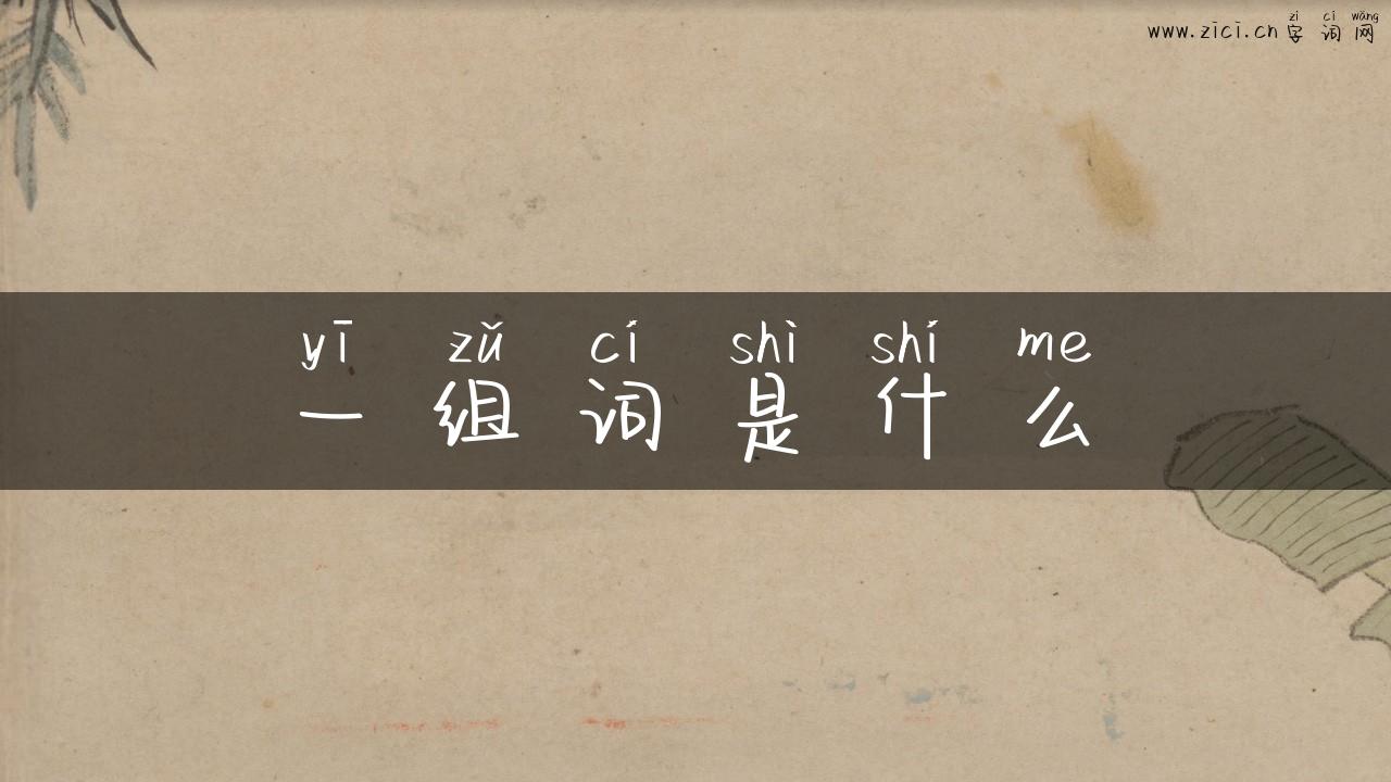 一组词是什么