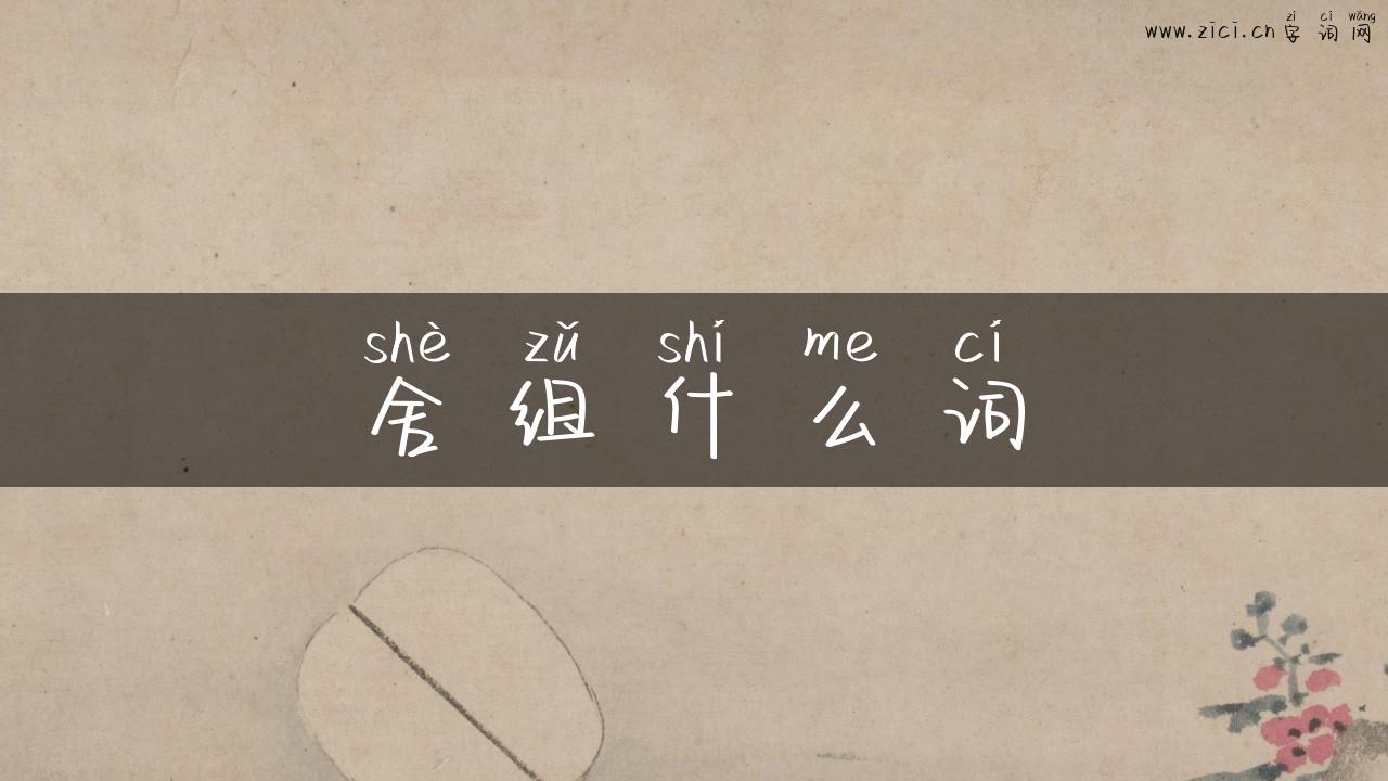 舍组什么词