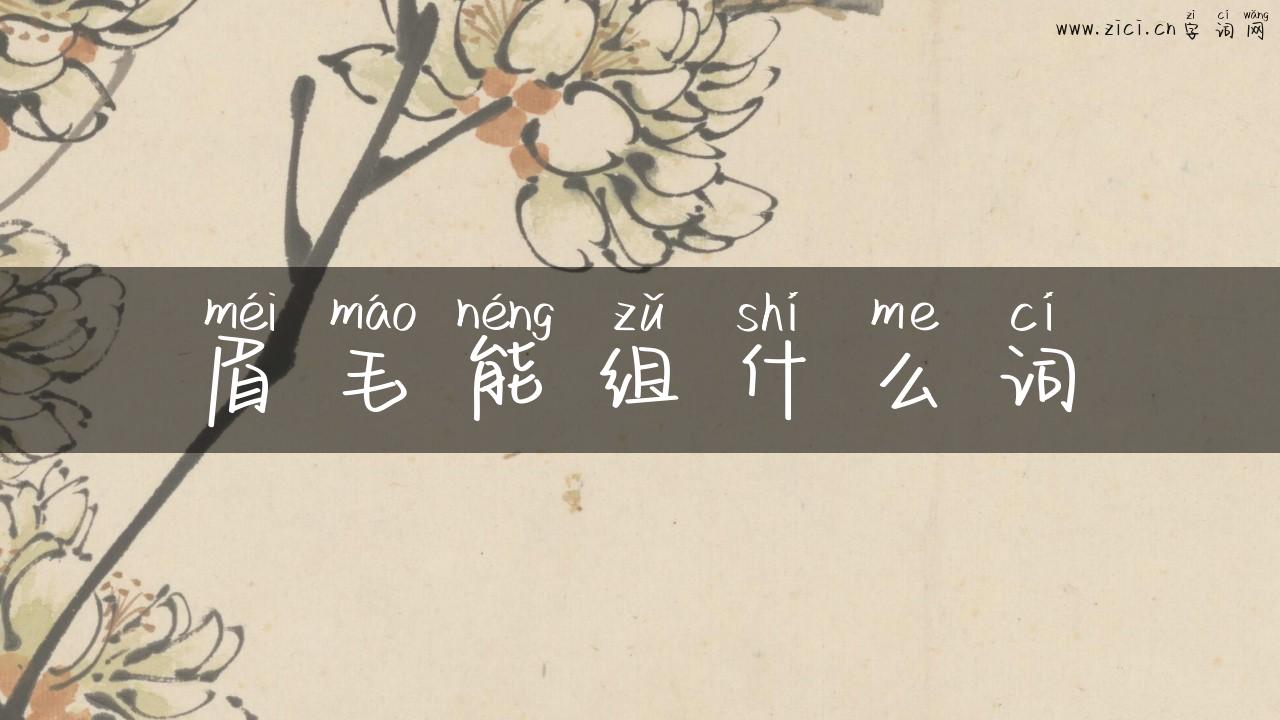 眉毛能组什么词