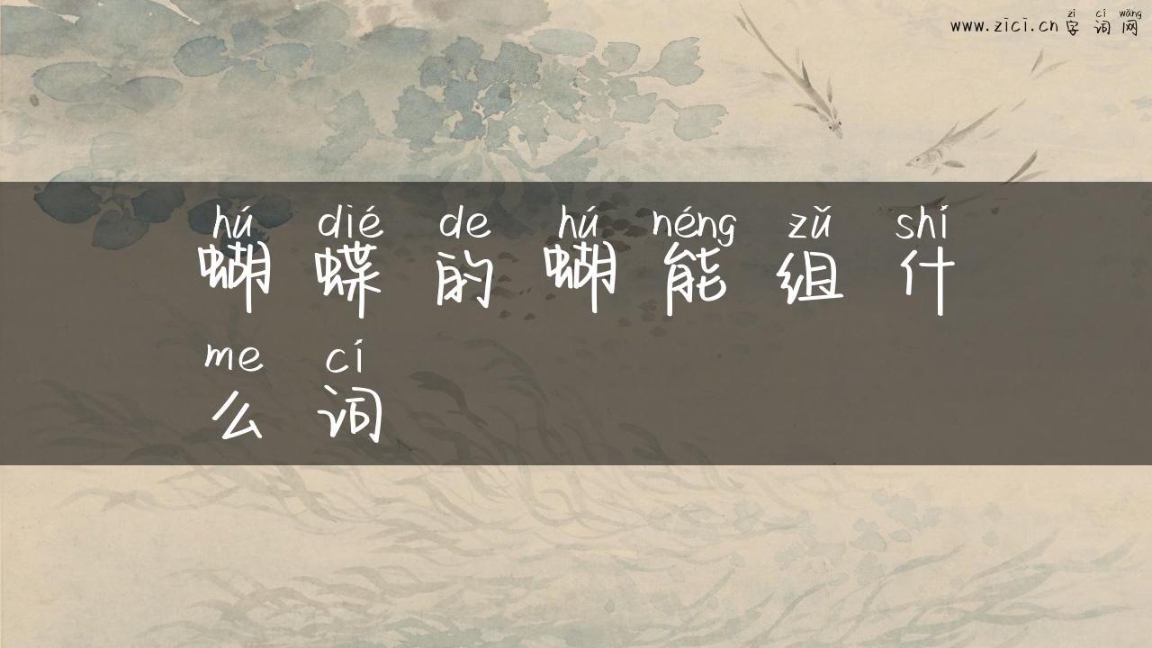 蝴蝶的蝴能组什么词