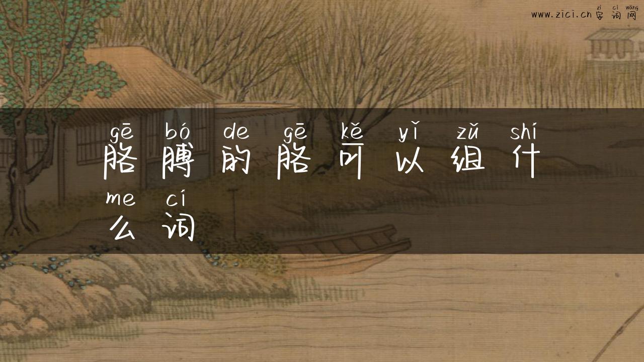 胳膊的胳可以组什么词