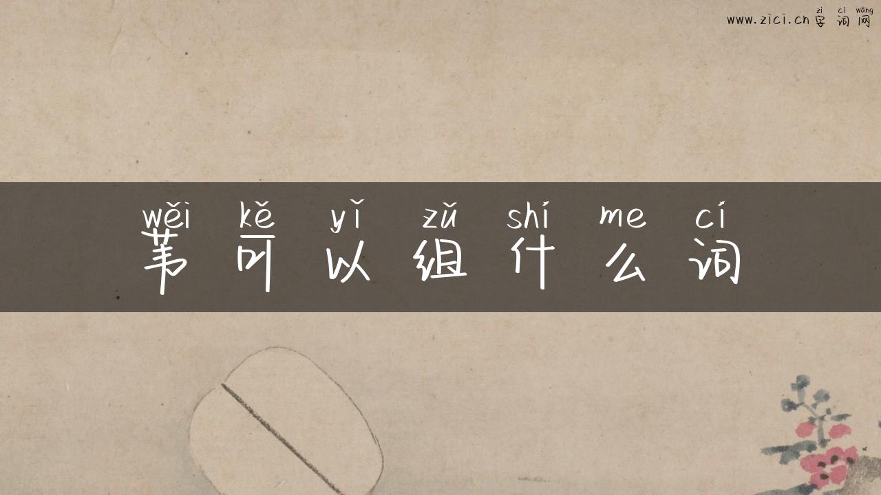 苇可以组什么词