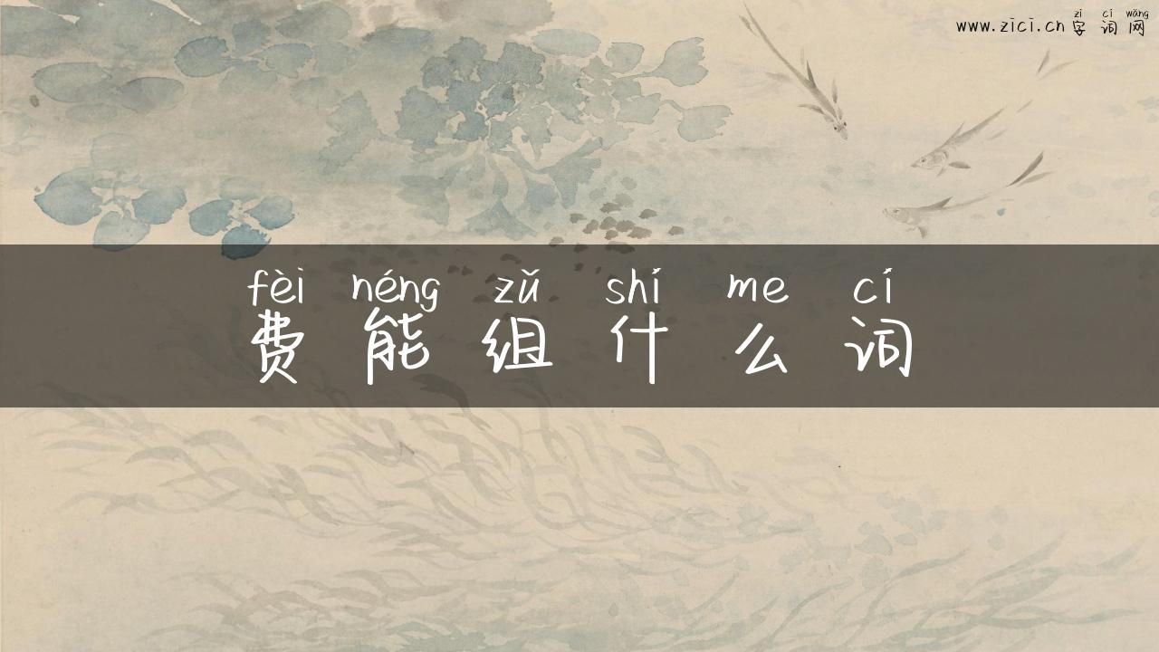 费能组什么词