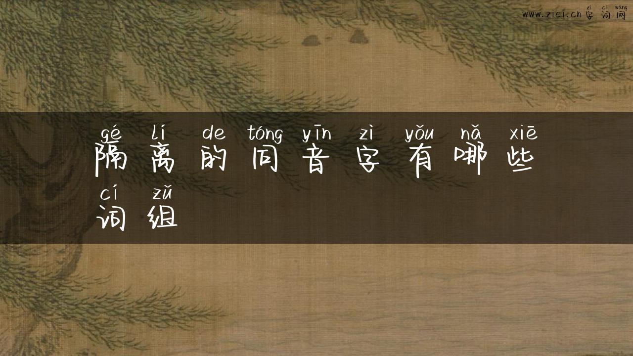 隔离的同音字有哪些词组