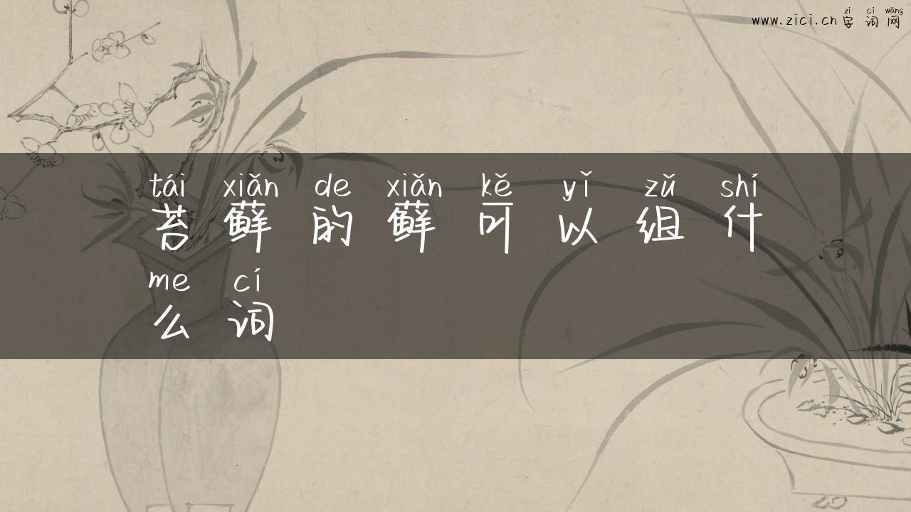苔藓的藓可以组什么词