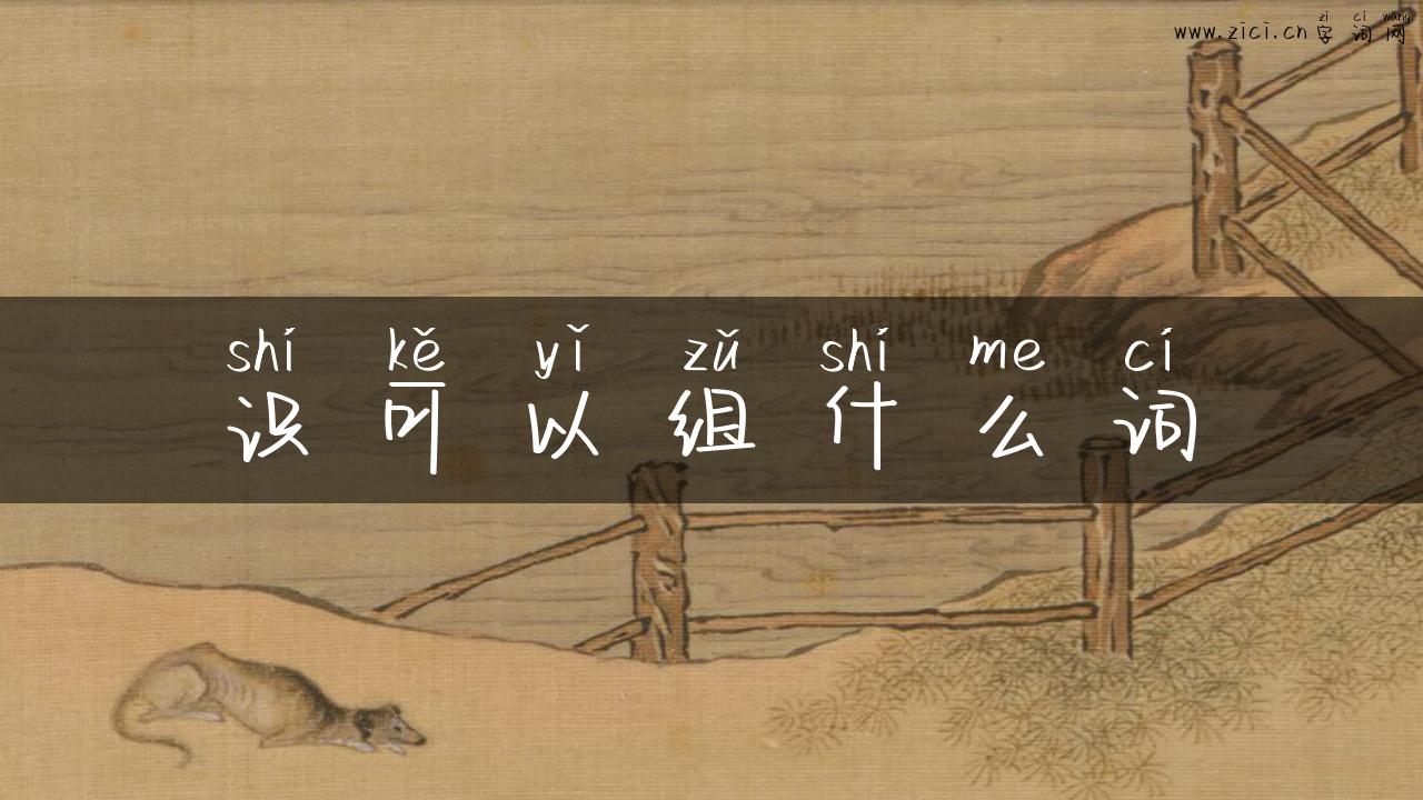 识可以组什么词
